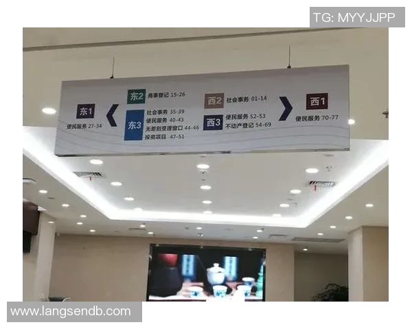 杭州乒乓球队转型纪实：从传统到现代的奋斗与蜕变之路