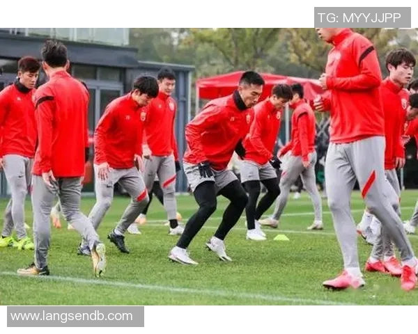 深入探讨上海篮球队的战术配合与球员默契度的全面对比分析