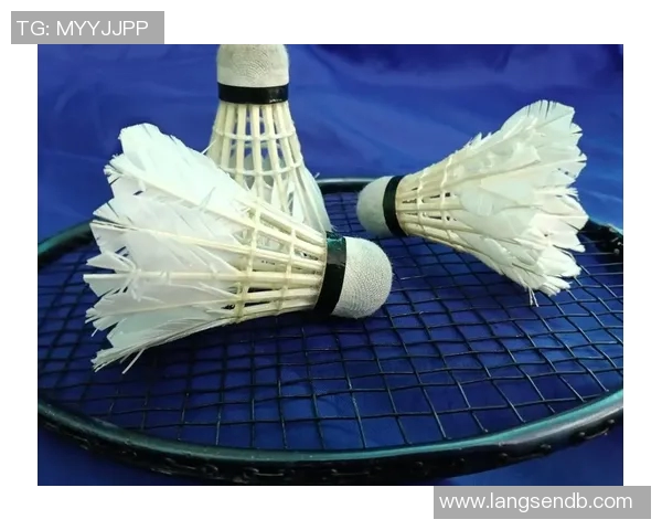 羽毛球新手必看:全面提升个人能力的入门技巧与训练方法指南 羽毛球新手必看:全面提升个人能力的入门技巧与训练方法指南