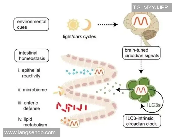 科学排球心理素质提升策略与训练方法探讨