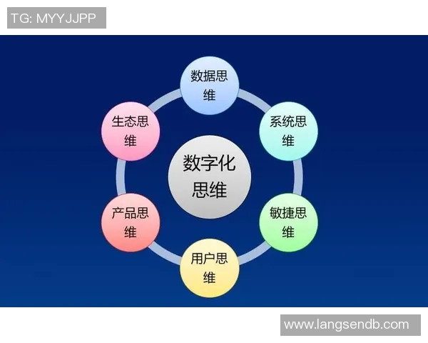 广州排球队比赛经验分析与数据洞察探讨