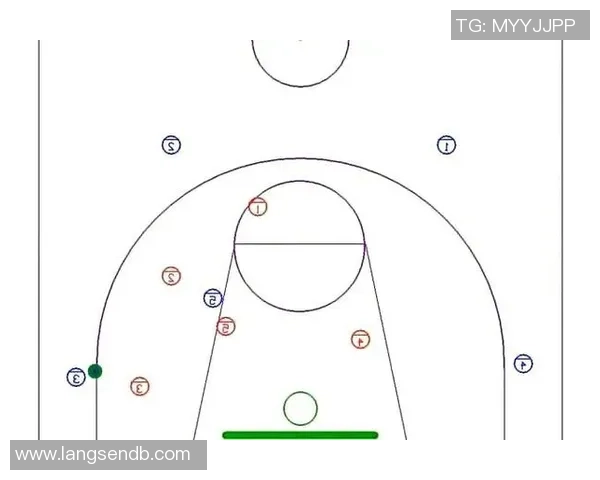 深入分析杭州排球队区域防守战术的特点与应用策略