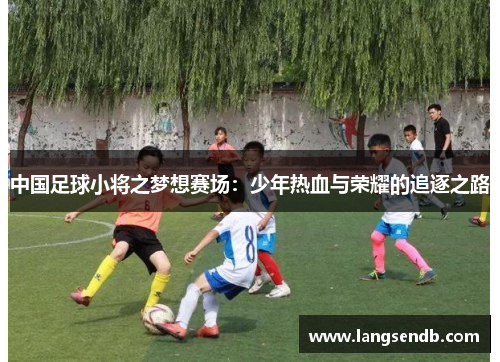 中国足球小将之梦想赛场：少年热血与荣耀的追逐之路