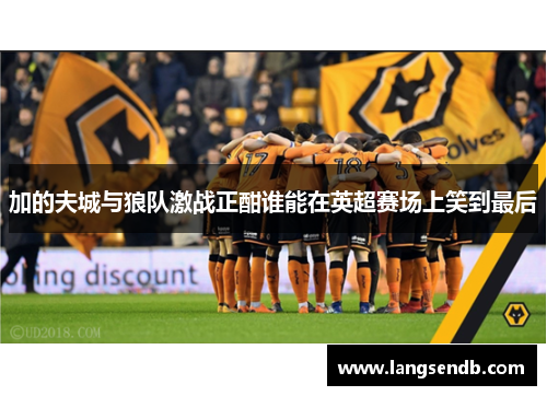 加的夫城与狼队激战正酣谁能在英超赛场上笑到最后